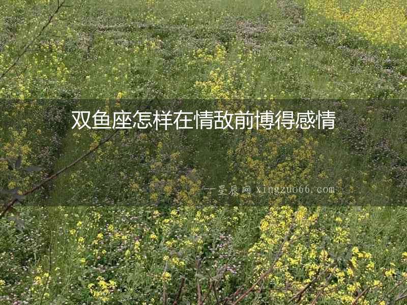 雙魚(yú)座怎樣在情敵前博得感情
