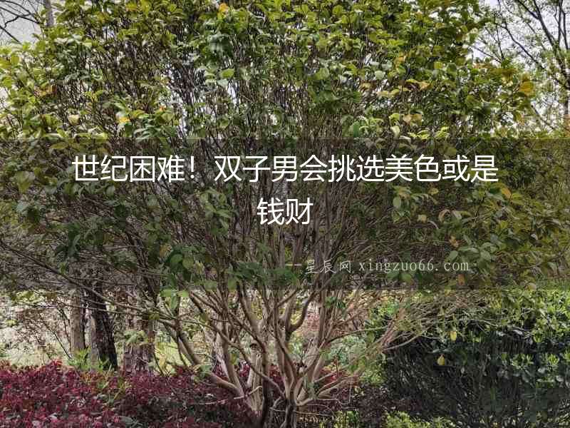 世紀困難！雙子男會挑選美色或是錢財