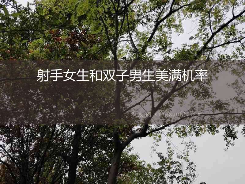 射手女生和雙子男生美滿機率