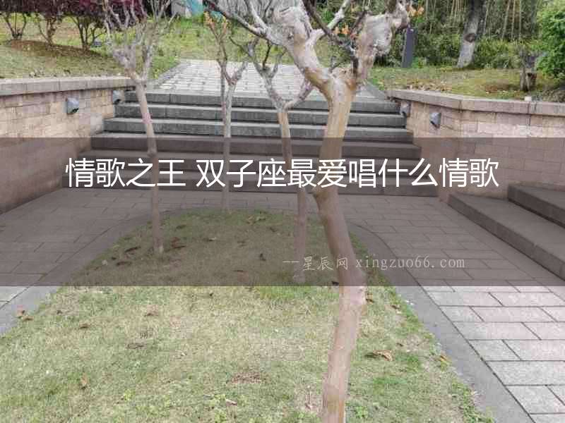 情歌之王 雙子座最愛唱什么情歌
