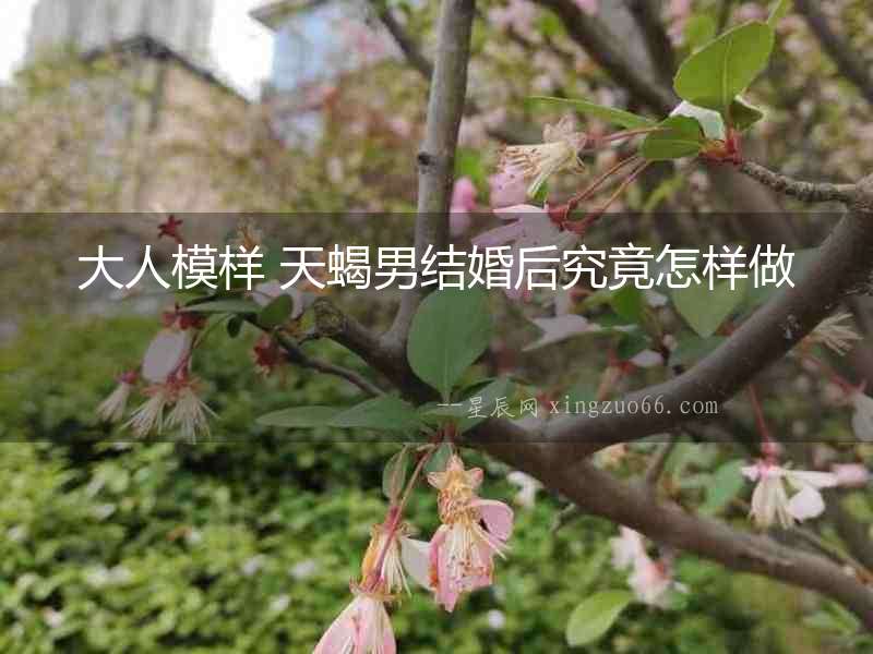 大人模樣 天蝎男結(jié)婚后究竟怎樣做