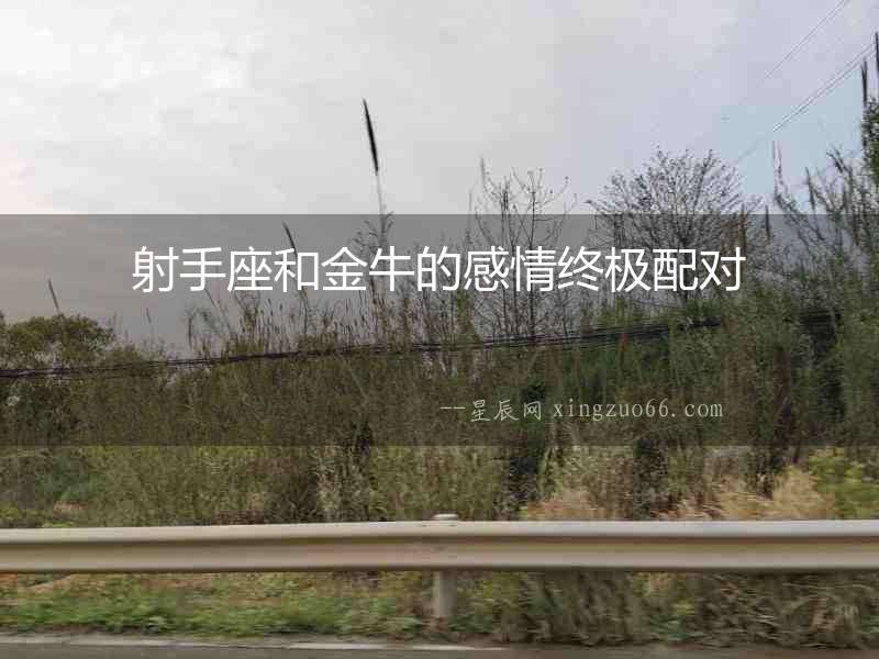 射手座和金牛的感情終極配對