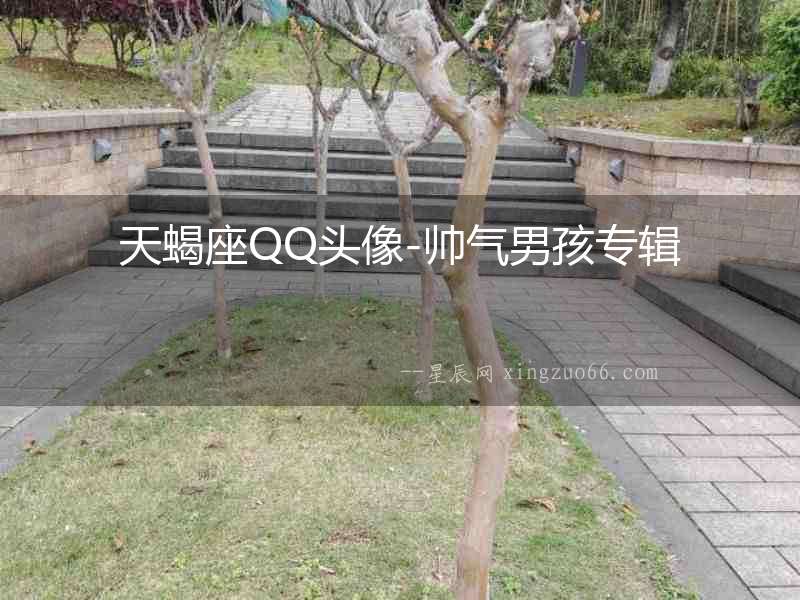 天蝎座QQ頭像-帥氣男孩專輯