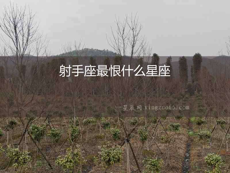 射手座最恨什么星座
