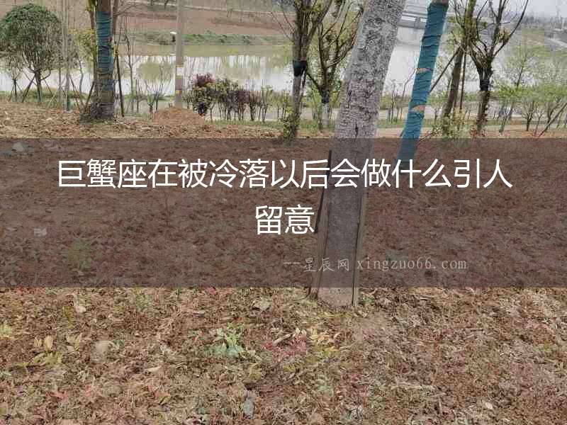 巨蟹座在被冷落以后會做什么引人留意