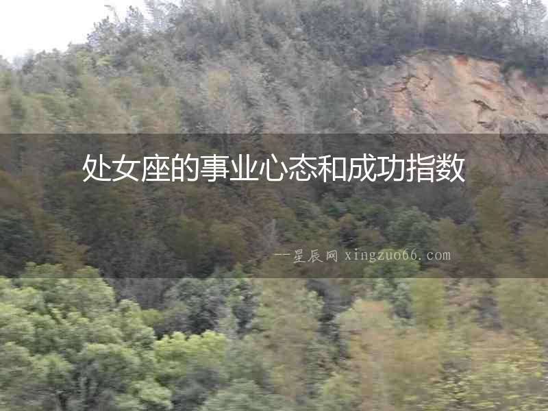 處女座的事業心態和成功指數