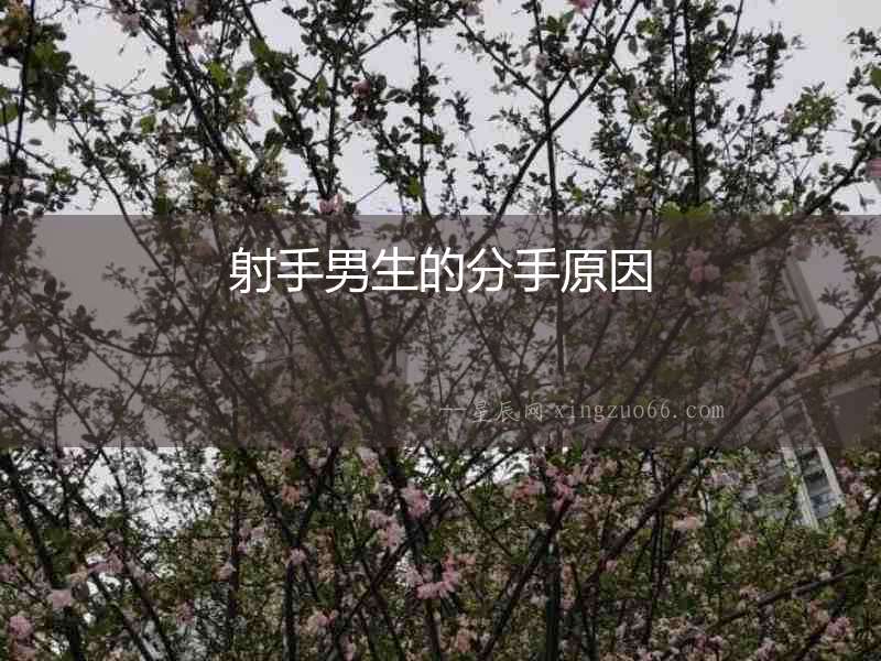 射手男生的分手原因