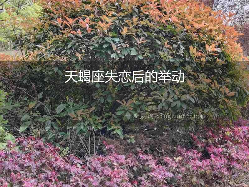 天蝎座失戀后的舉動