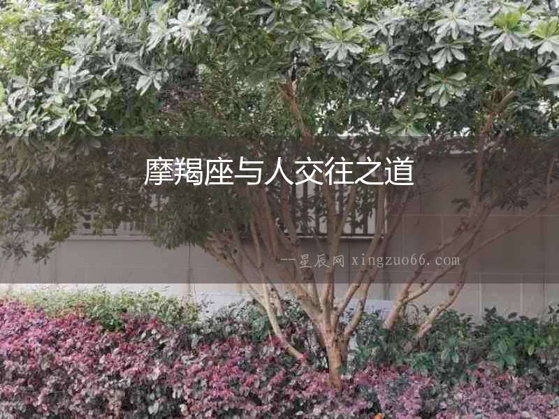 摩羯座與人交往之道