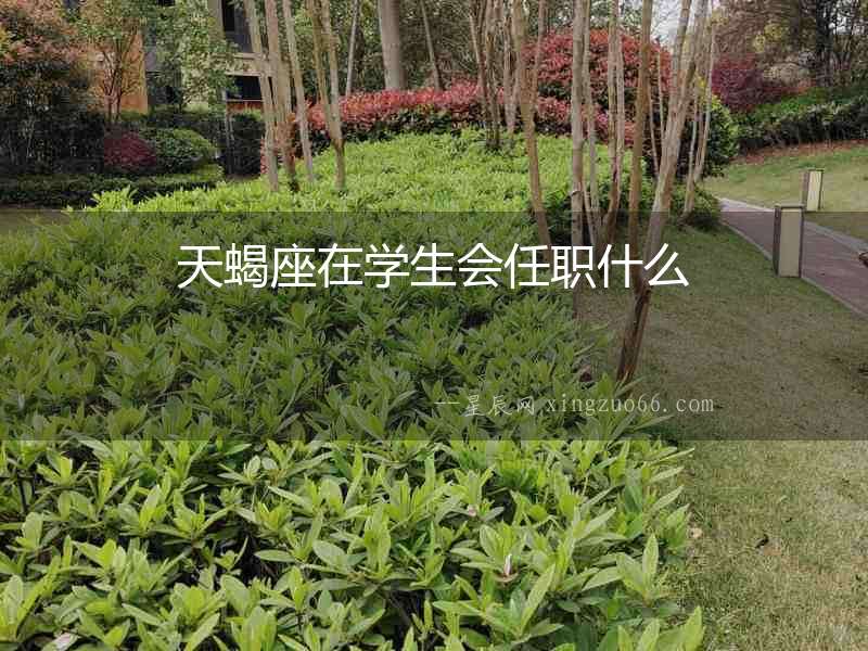 天蝎座在學生會任職什么