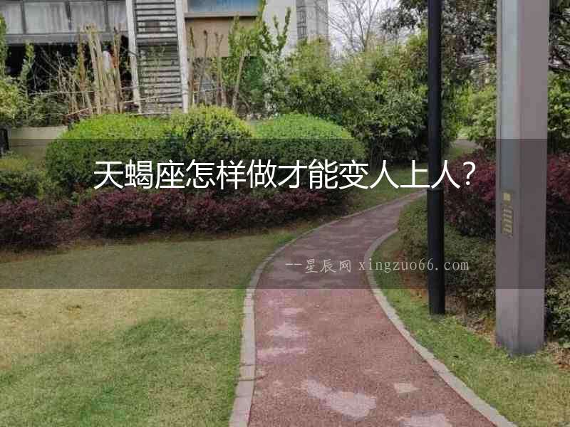 天蝎座怎樣做才能變人上人？