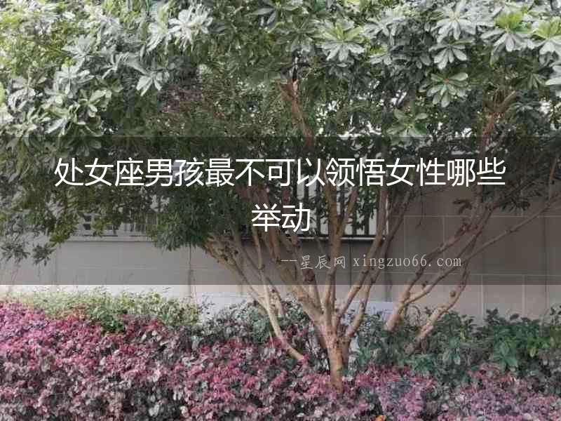 處女座男孩最不可以領悟女性哪些舉動