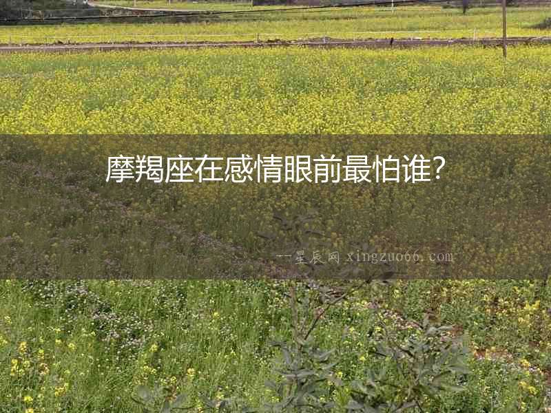 摩羯座在感情眼前最怕誰？