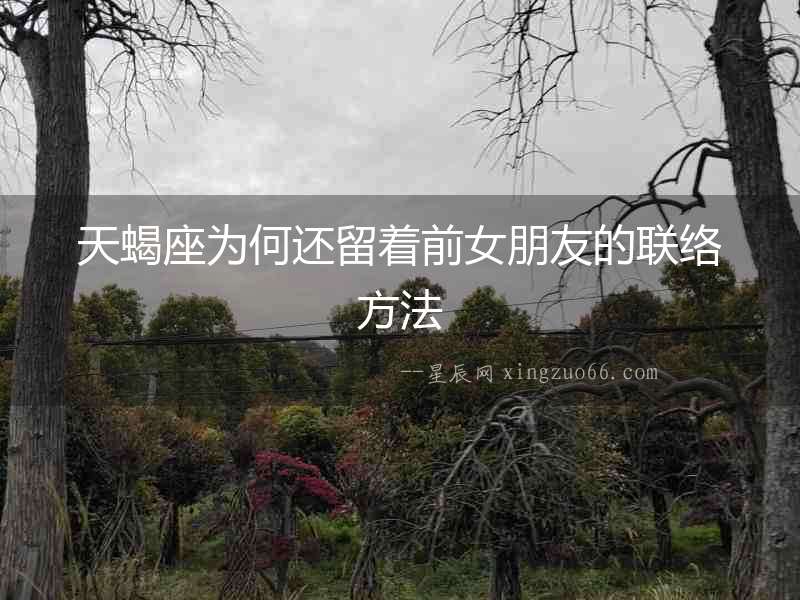 天蝎座為何還留著前女朋友的聯絡方法