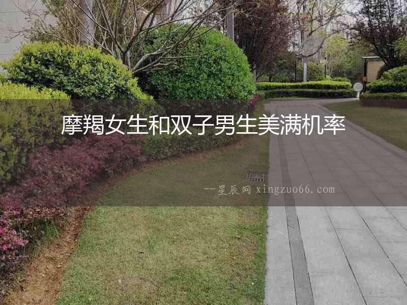 摩羯女生和雙子男生美滿機率