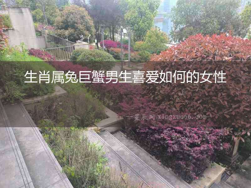 生肖屬兔巨蟹男生喜愛如何的女性