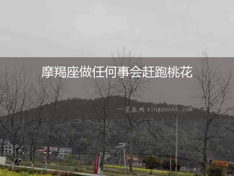 摩羯座做任何事會(huì)趕跑桃花