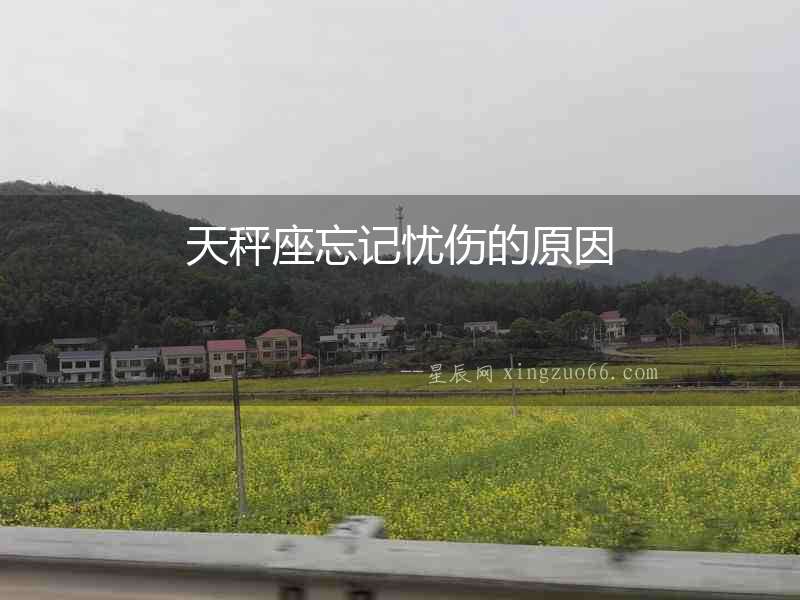 天秤座忘記憂傷的原因