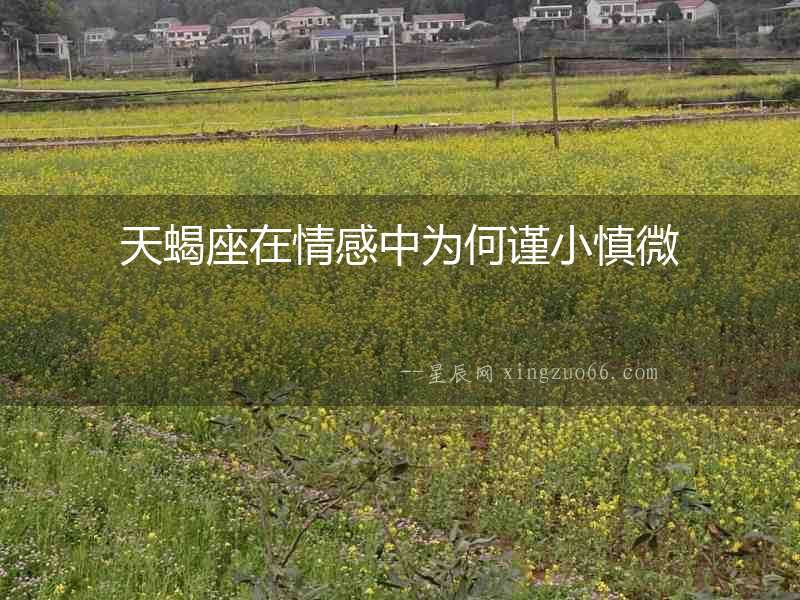 天蝎座在情感中為何謹(jǐn)小慎微