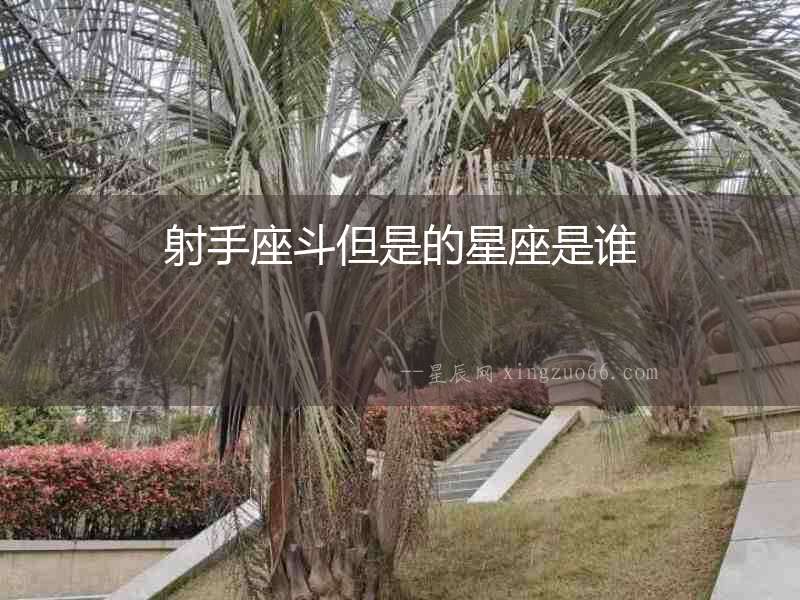 射手座斗但是的星座是誰