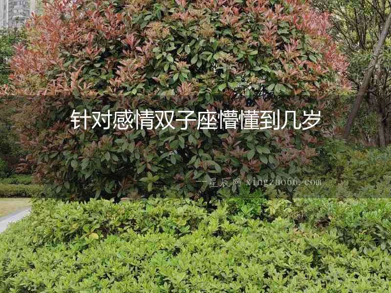 針對感情雙子座懵懂到幾歲