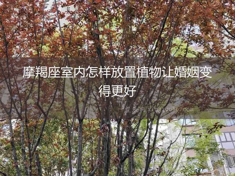 摩羯座室內怎樣放置植物讓婚姻變得更好