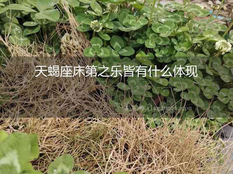 天蝎座床第之樂皆有什么體現