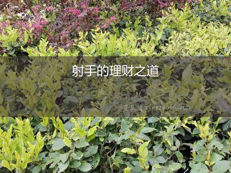 射手的理財之道