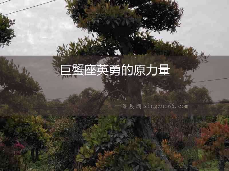 巨蟹座英勇的原力量
