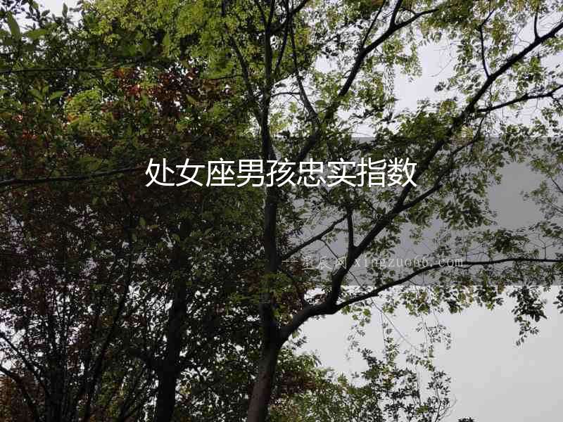 處女座男孩忠實指數