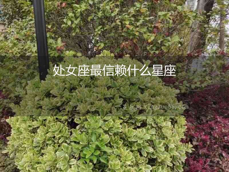 處女座最信賴什么星座