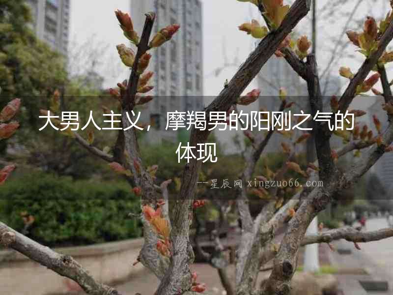 大男人主義，摩羯男的陽剛之氣的體現