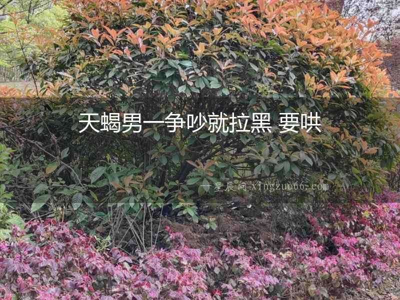 天蝎男一爭吵就拉黑 要哄
