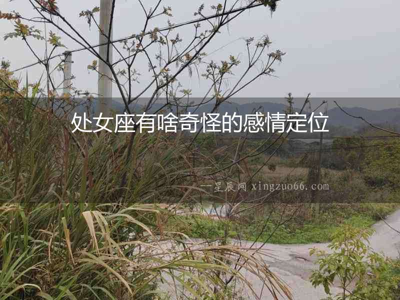 處女座有啥奇怪的感情定位