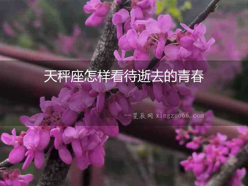 天秤座怎樣看待逝去的青春