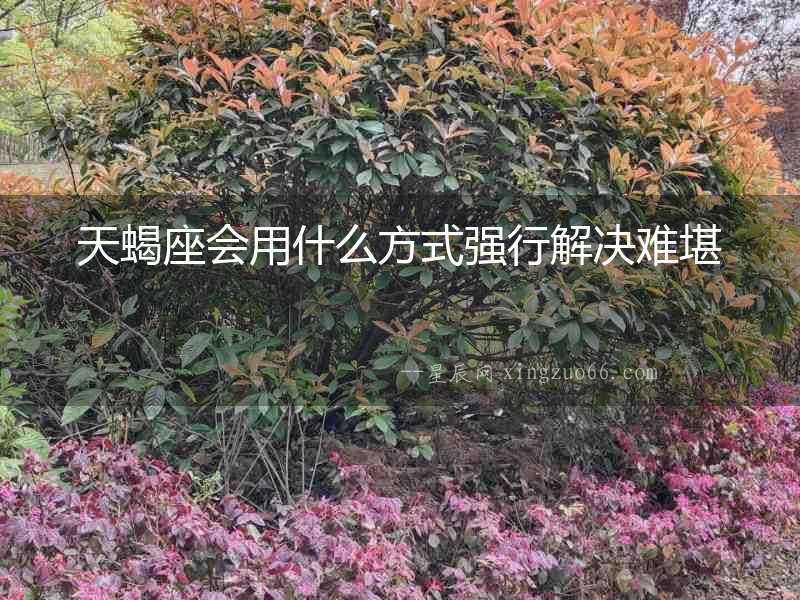 天蝎座會用什么方式強行解決難堪