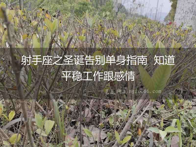 射手座之圣誕告別單身指南  知道平穩(wěn)工作跟感情