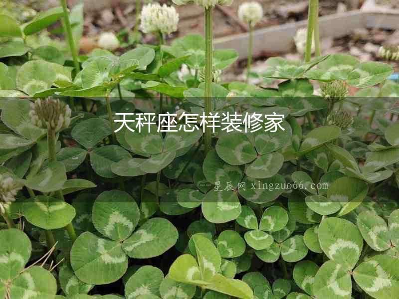 天秤座怎樣裝修家