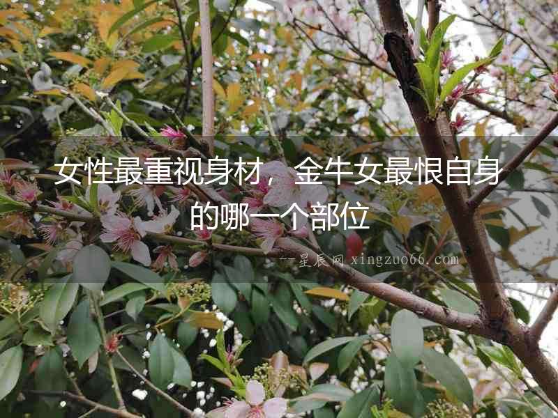 女性最重視身材，金牛女最恨自身的哪一個部位