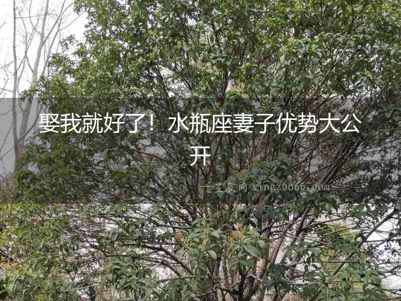 娶我就好了！水瓶座妻子優(yōu)勢大公開