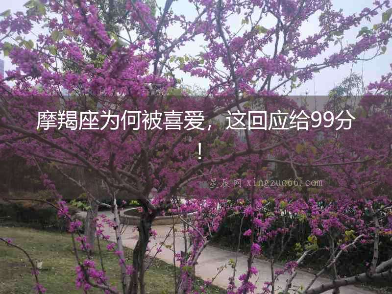 摩羯座為何被喜愛，這回應給99分！