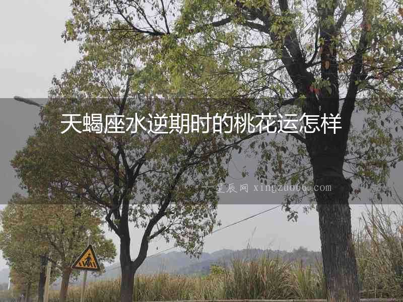 天蝎座水逆期時(shí)的桃花運(yùn)怎樣