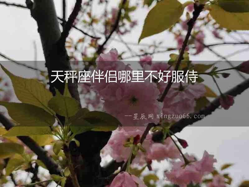 天秤座伴侶哪里不好服侍