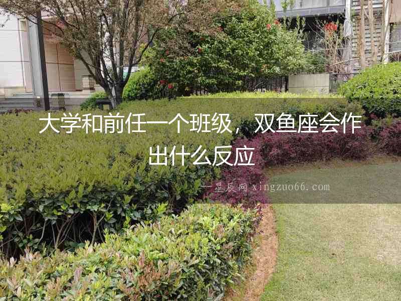 大學和前任一個班級，雙魚座會作出什么反應