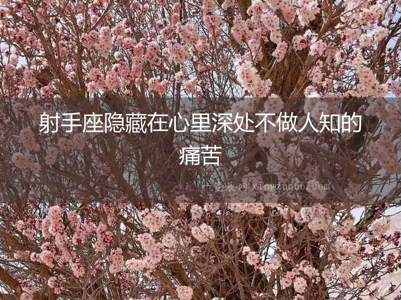 射手座隱藏在心里深處不做人知的痛苦