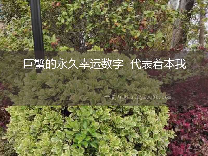 巨蟹的永久幸運數(shù)字  代表著本我