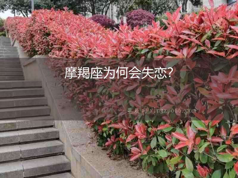 摩羯座為何會(huì)失戀？