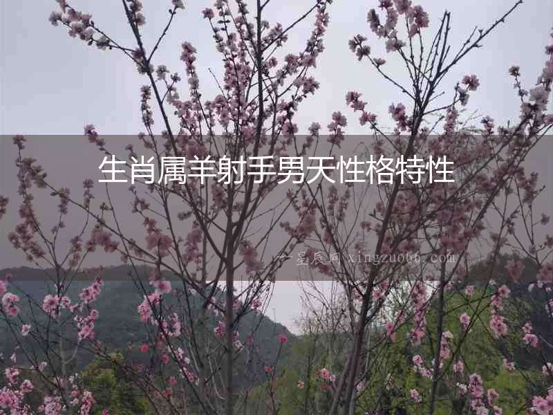 生肖屬羊射手男天性格特性
