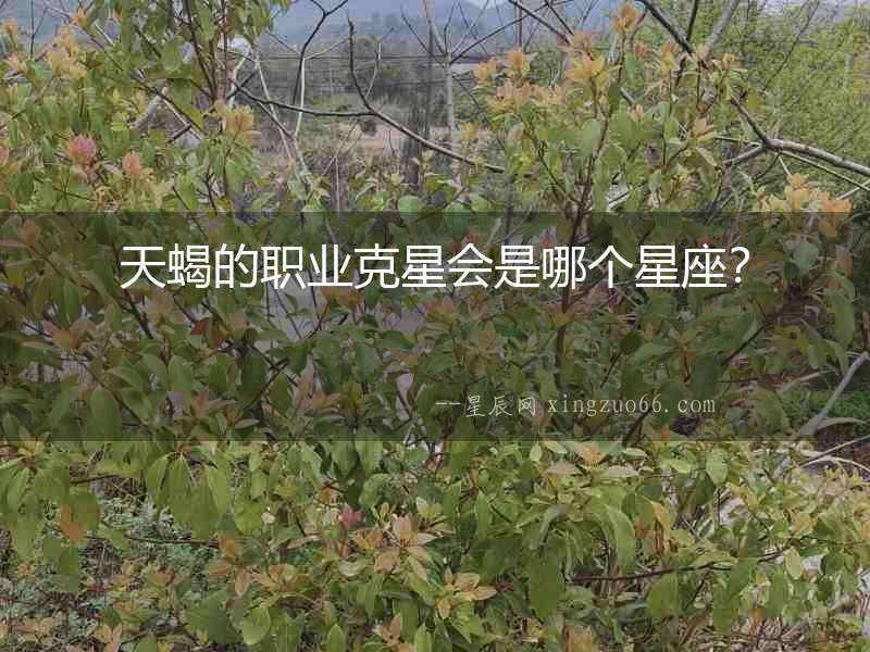 天蝎的職業(yè)克星會是哪個星座？