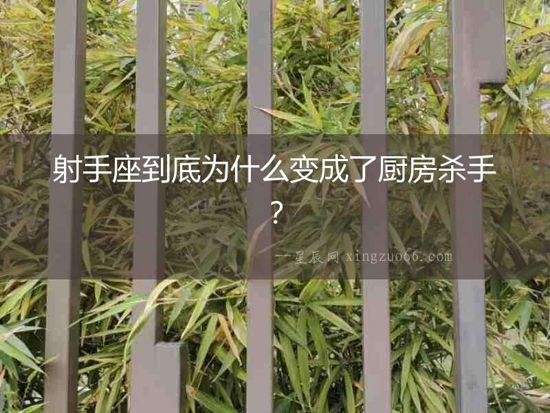 射手座到底為什么變成了廚房殺手？